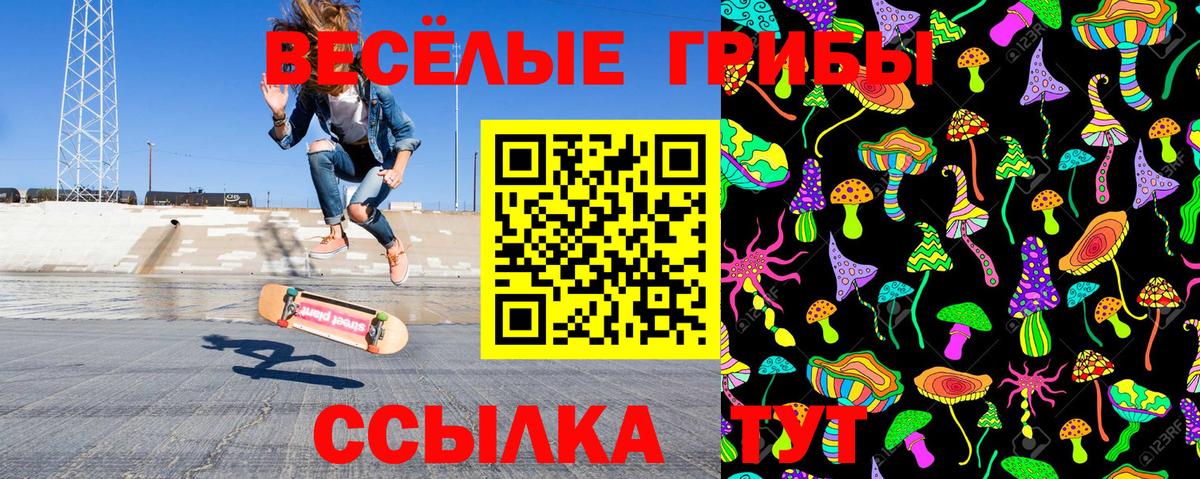 Чернушка  Псилоцибиновые грибы Psilocybe  Вход с VPN 