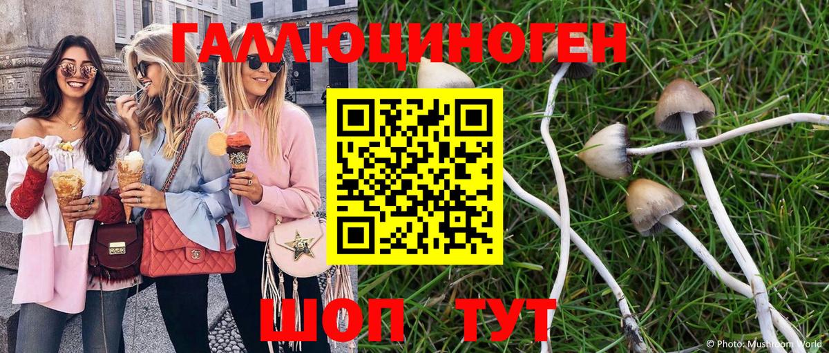 Псилоцибиновые грибы MAGIC MUSHROOMS Чернушка